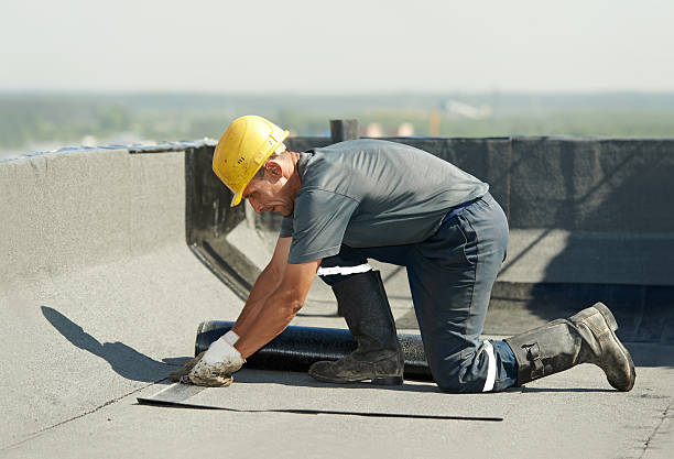 Best Insulation Maintenance and Repair in Franklinville, NJ
